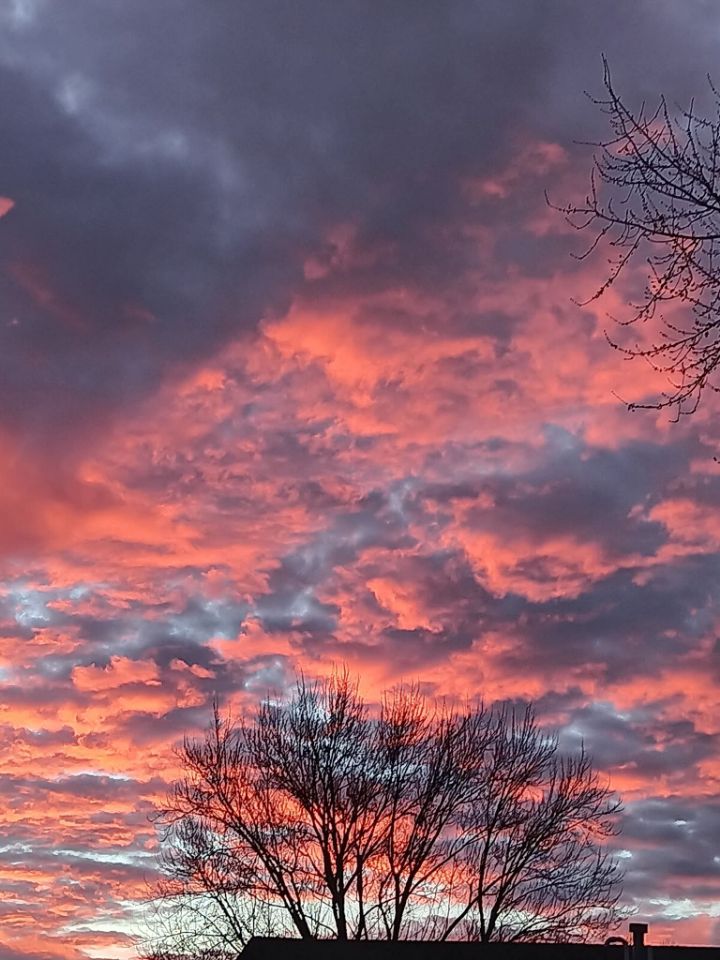 goodnovel comment avatar