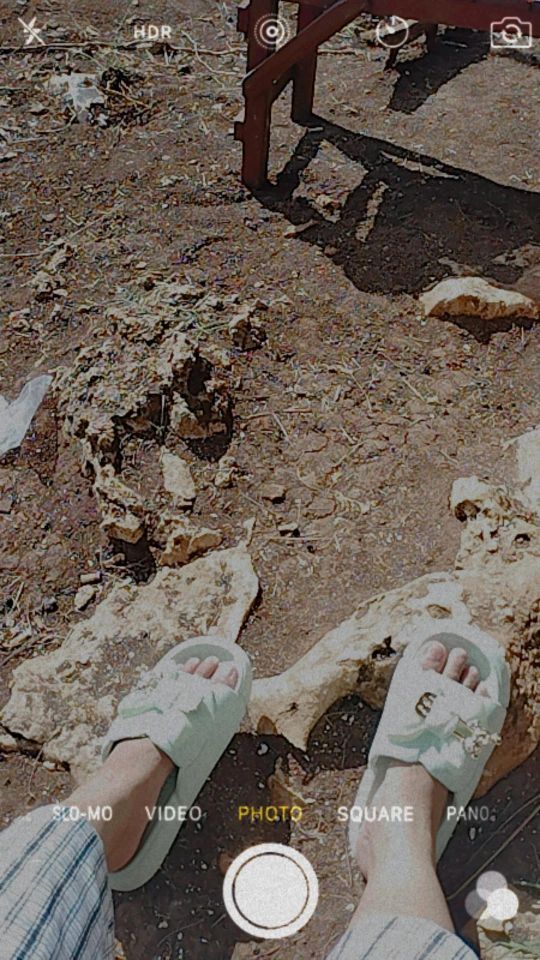 goodnovel comment avatar