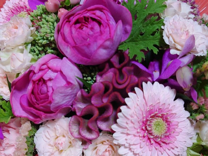 goodnovel comment avatar