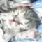 なぎ
