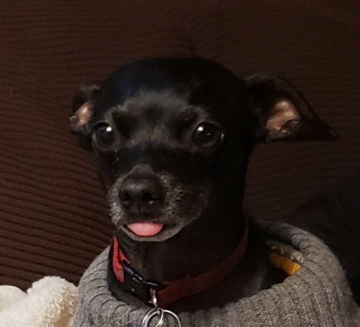 goodnovel comment avatar