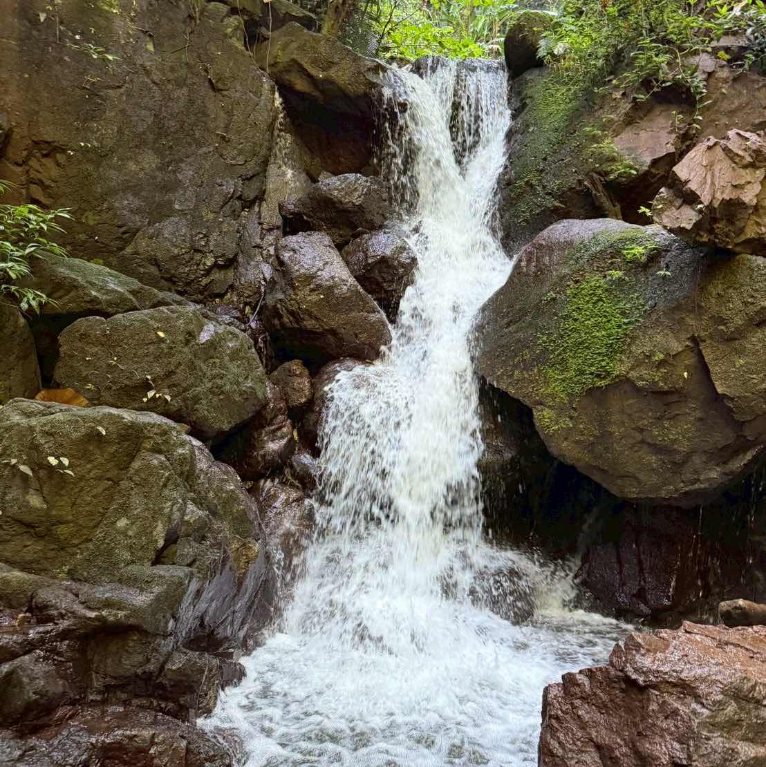 goodnovel comment avatar