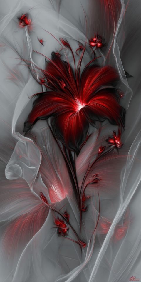 MercyM 