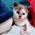 goodnovel comment avatar