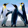 goodnovel comment avatar