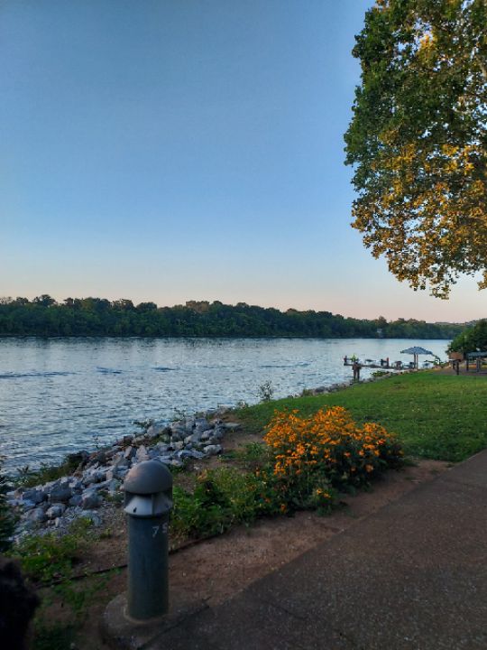 goodnovel comment avatar