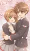SakuraSyaoran