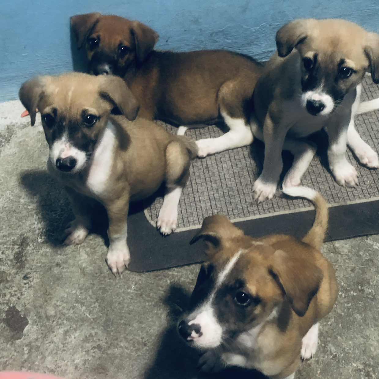 goodnovel comment avatar