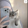 goodnovel comment avatar