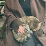goodnovel comment avatar