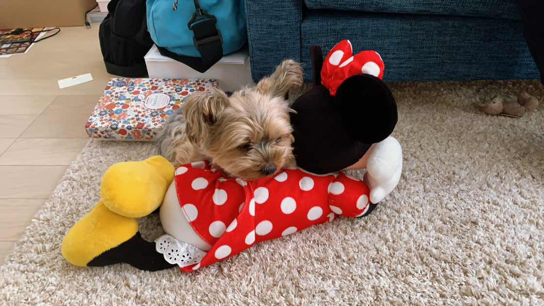 goodnovel comment avatar