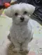 힘내자 (경아진이)