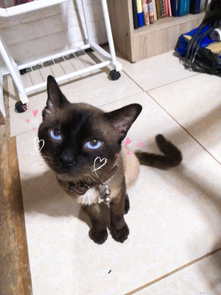 goodnovel comment avatar