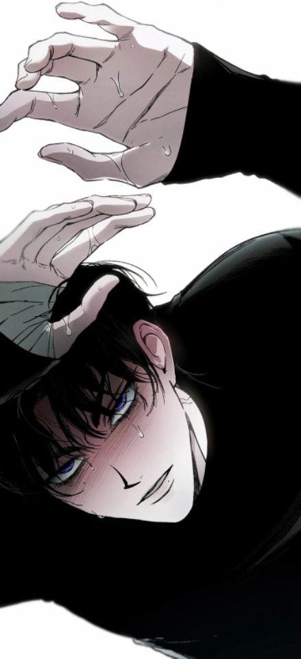 Momoshiki 