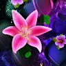goodnovel comment avatar