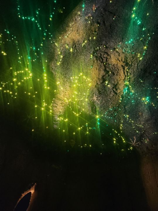 goodnovel comment avatar