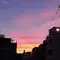 聖