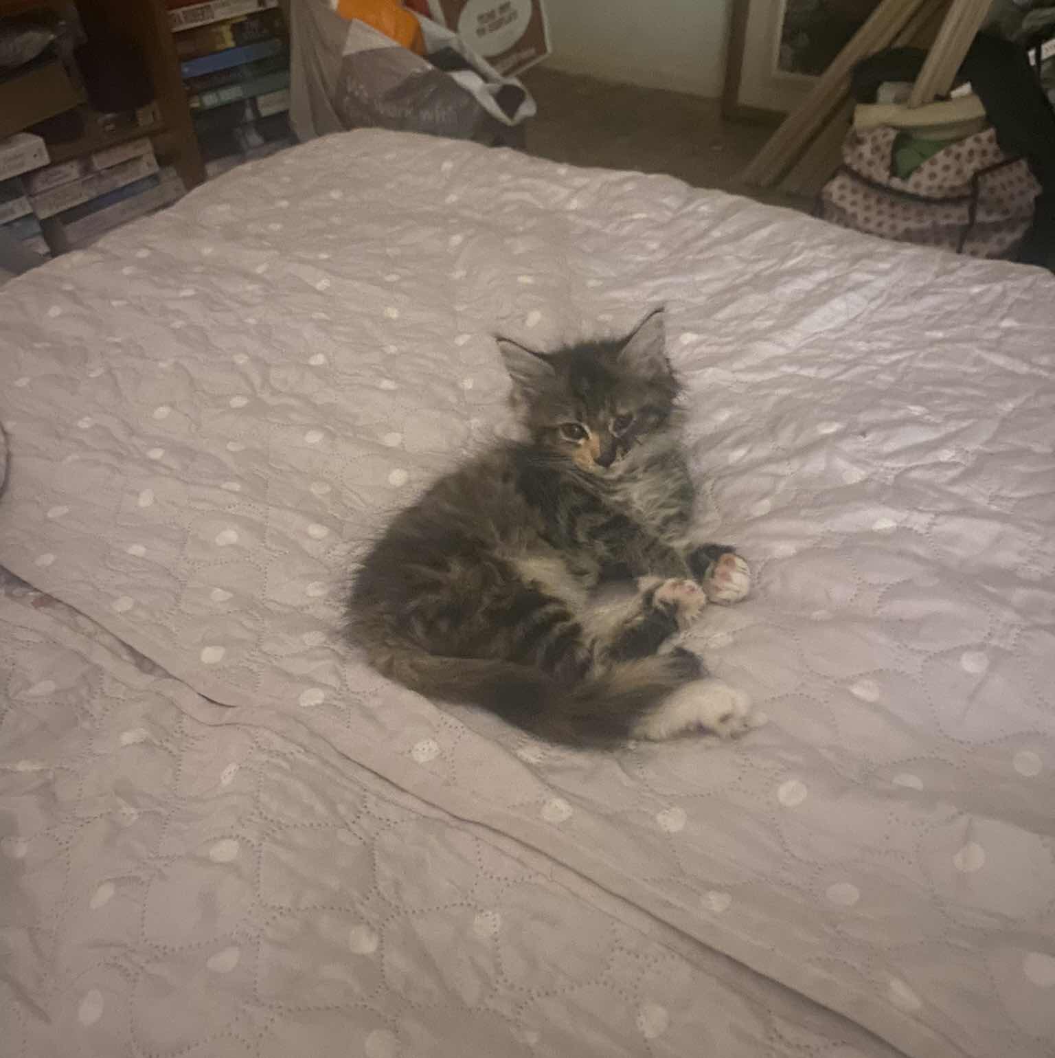 goodnovel comment avatar