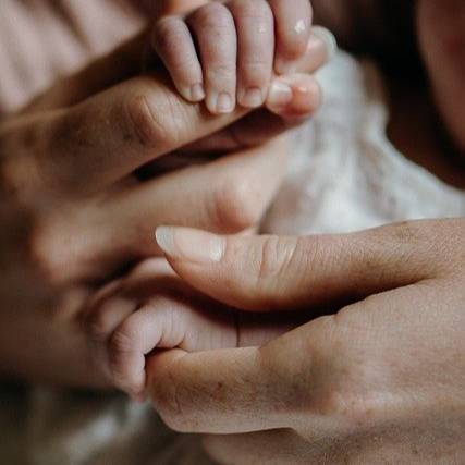 Black beautiful butterfly