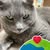 goodnovel comment avatar