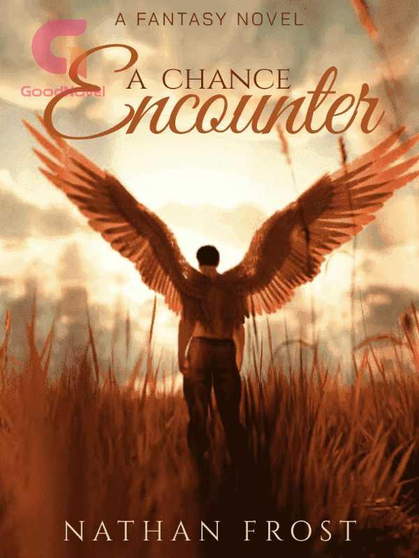 A Chance Encounter
