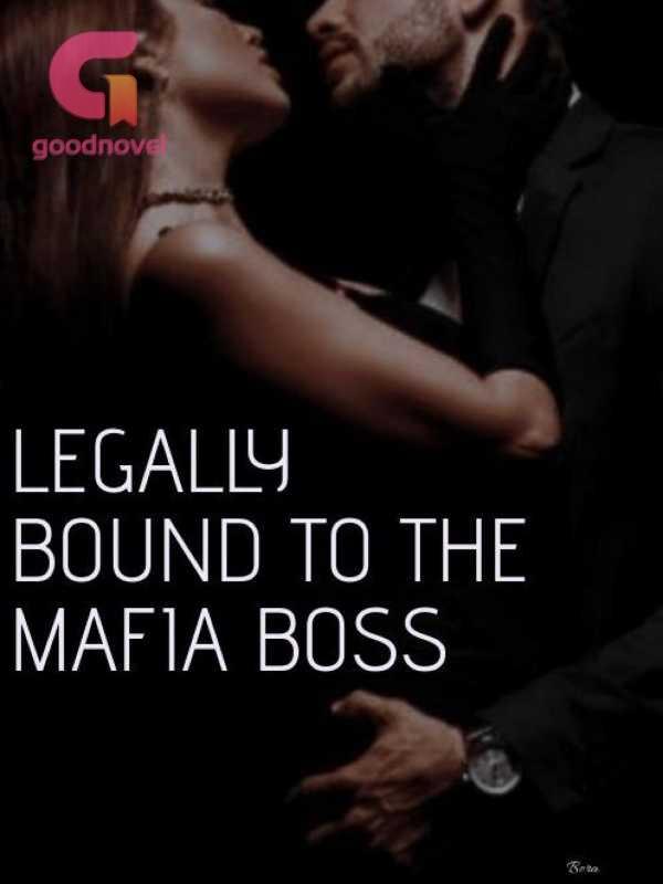 LEGALLY BOUND TO THE MAFIA BOSS PDF & Novel Online by Bora to Read for