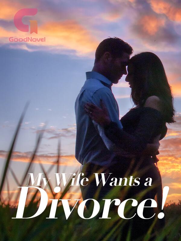 My Wife Wants a Divorce!