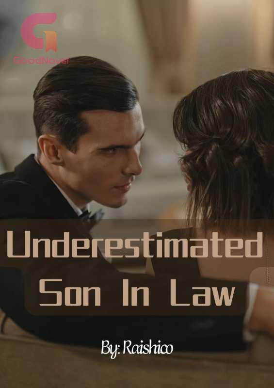 Underestimated Son In Law