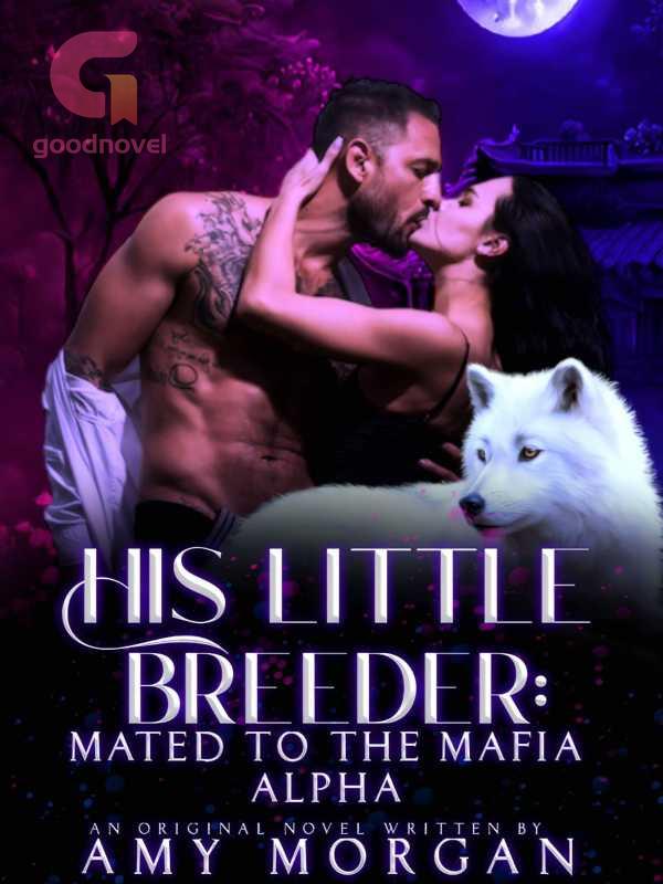 HIS LITTLE BREEDER Mated To The Mafia Alpha PDF & Novel Online by Amy to Read for Free