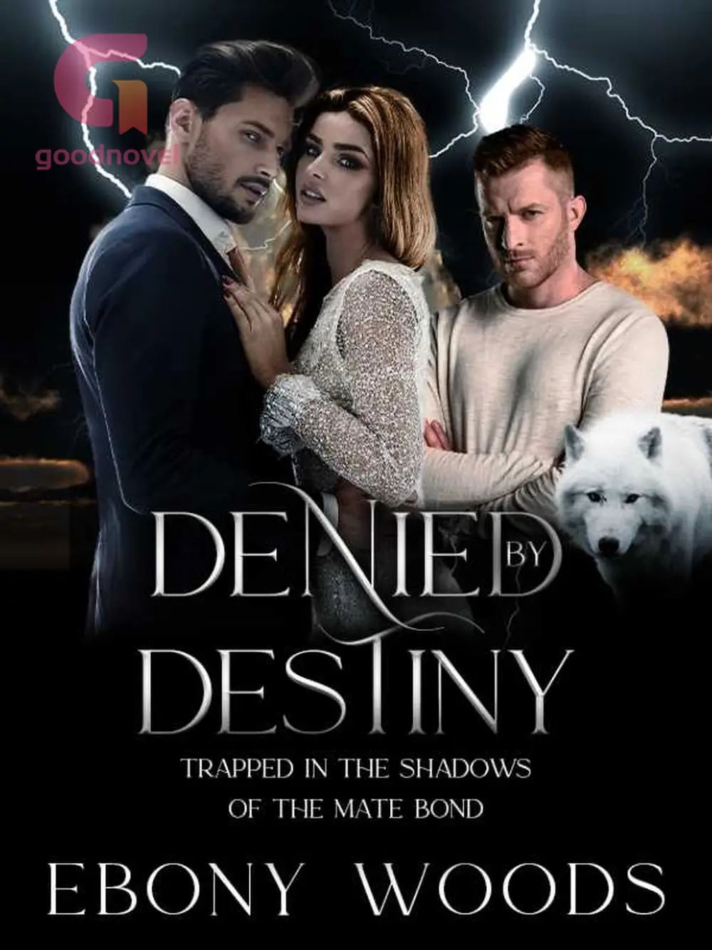 Chapter 0441 - Denied By Destiny: Trapped In The Shadows Of The Mate 