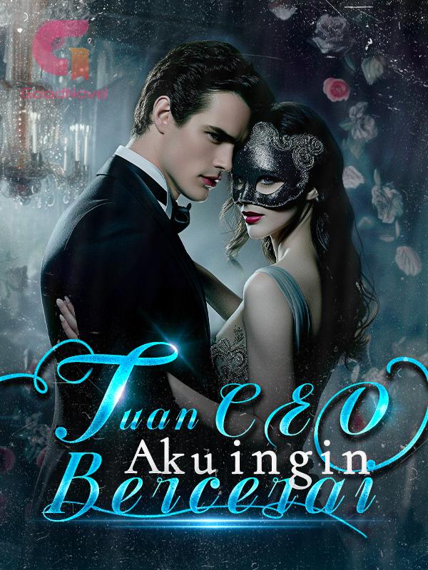 Tuan CEO, Aku ingin Bercerai